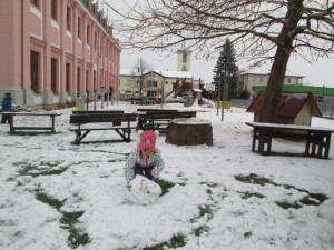 IMG_4995 
