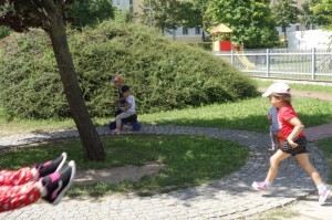 DSC05131  