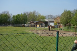 DSC07111